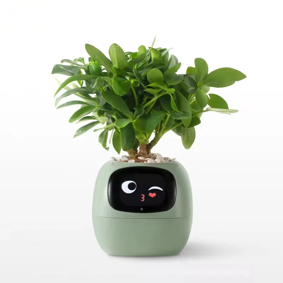 Smart plant pot with a digital display on a white background