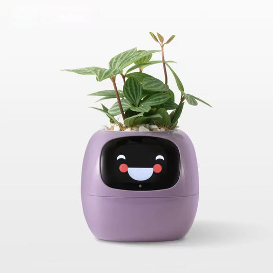 Ivy - Smart Plant Pot - Purple
