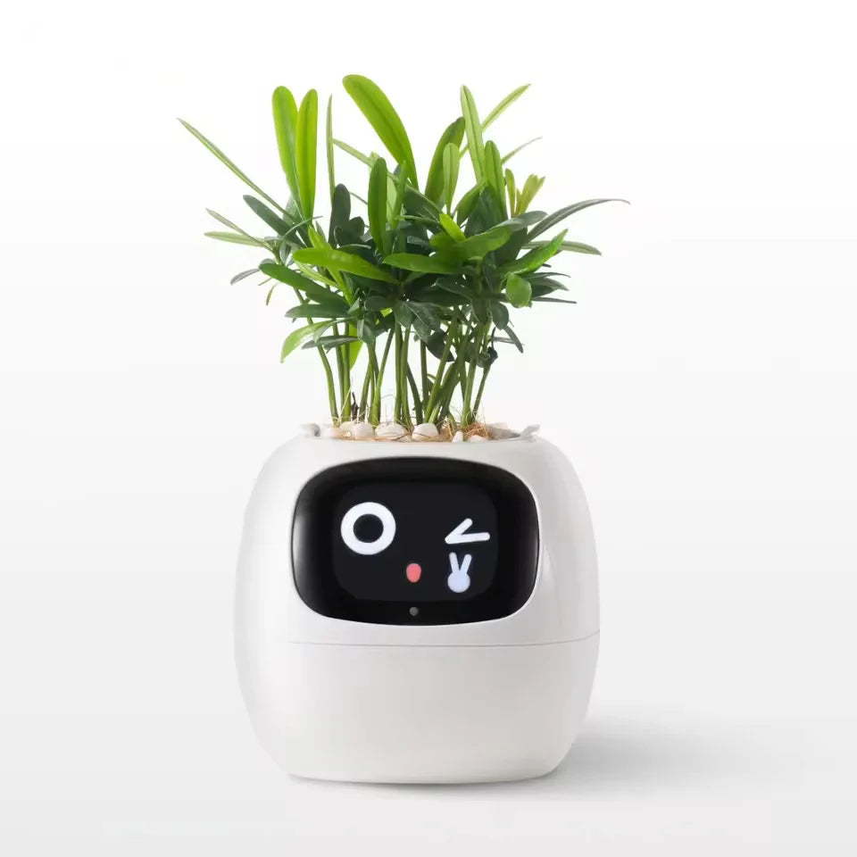 Ivy - Smart Plant Pot - White