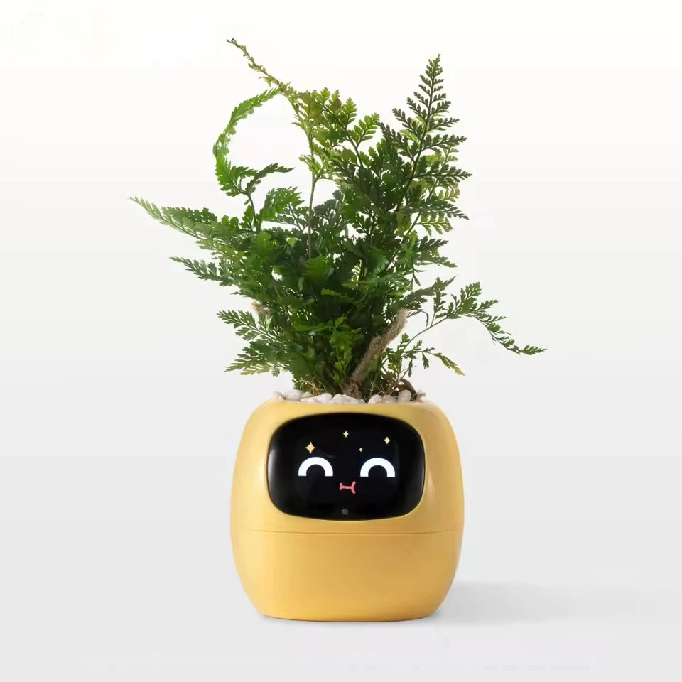 Ivy - Smart Plant Pot - Yellow